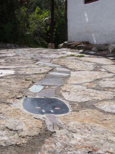 Hostal Jard�n Colibr�