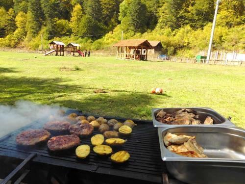 Hotel Gogov