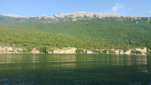 Hostal Guesthouse Zimovski