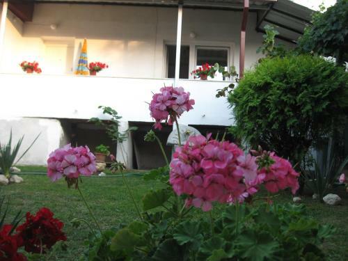 Hostal City Center Apartments
