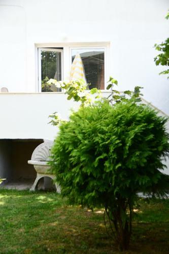Hostal City Center Apartments
