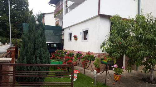 Hostal Tipski Apartment