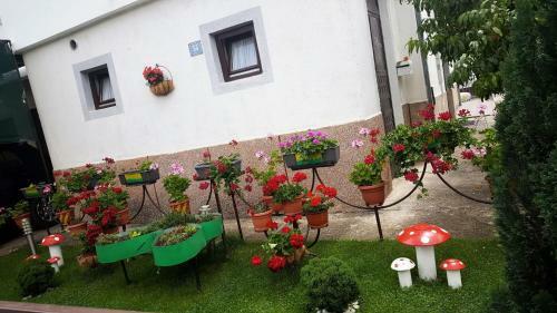Hostal Tipski Apartment