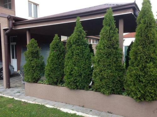 Hostal Naumovski Guest House