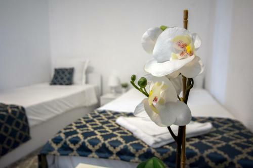 Bed & Breakfast Delikates