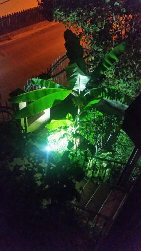 Apartamento Misko's Guest House