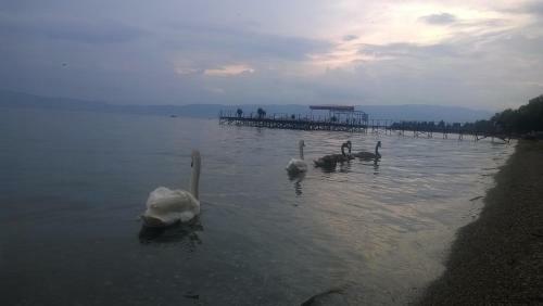 Apartamento Apt Mari Ohrid