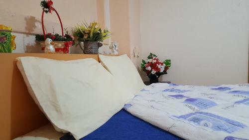 Hostal Vila Dule