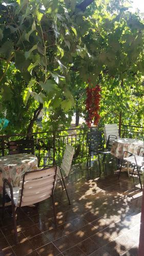 Hostal Vila Dule