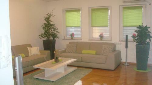Popov Apartments