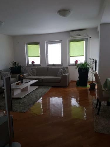 Popov Apartments