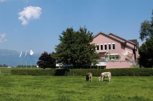 Schaan-vaduz Youth Hostel