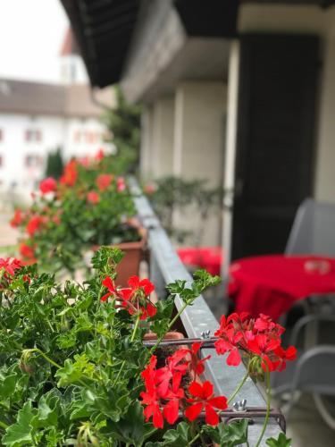 Posada Bed And Breakfast Krone