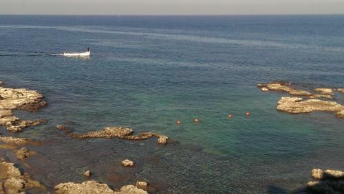 Bed & Breakfast Al Fanar Resort