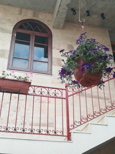 Hostal Damask Rose, Lebanese Guest House