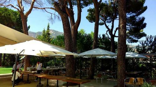 Douma Hotel