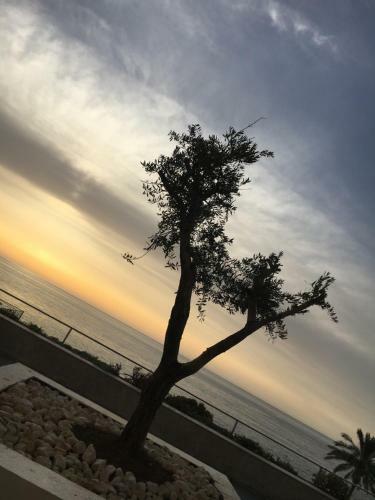 Rabiya Marine Hotel