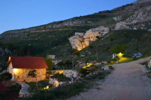Hotel Soha Village Resort