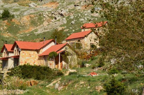 Hotel Soha Village Resort