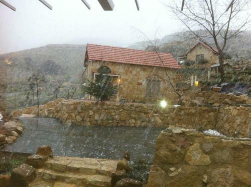 Hotel Soha Village Resort