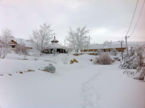 Hotel Soha Village Resort