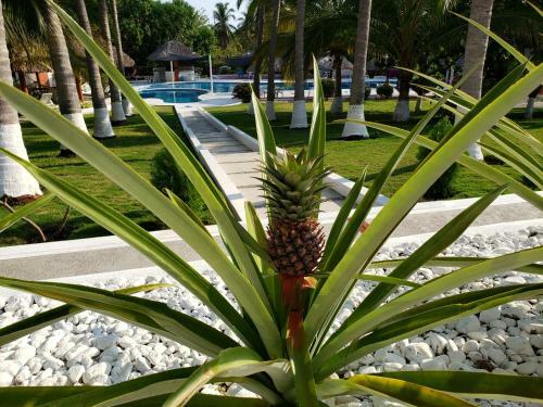 Hotel Y Club Campestre Altos Paraiso