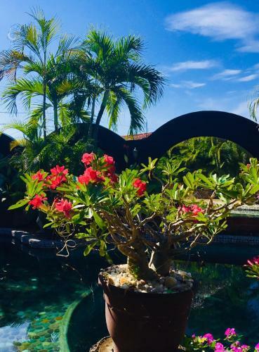 Hacienda La Rusa B&B