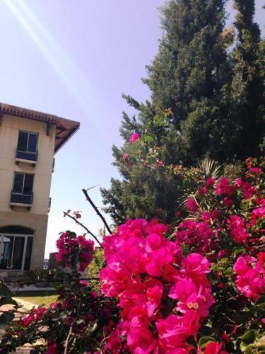 Lamunia Hotel