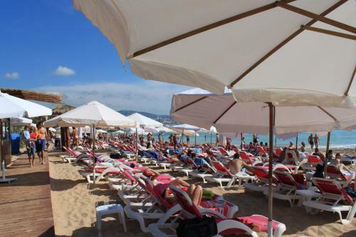 �l?h�tel- Edde Sands Hotel & Wellness Resort