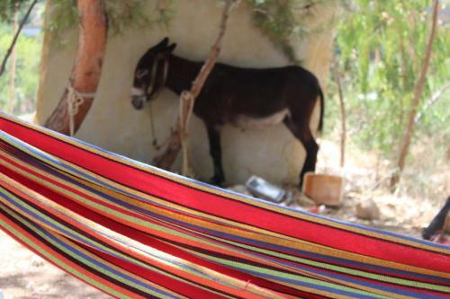 Hostal Ch�teau Sainte-andr�e