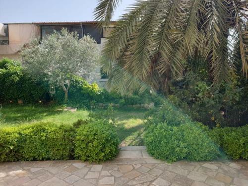 Hostal Beyt El Jabal