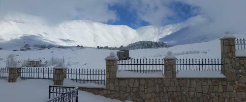 � Cedres Apartments