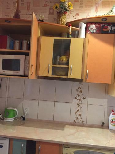 Kr?slava City Apartment