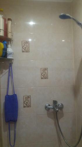 Kr?slava City Apartment