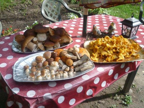 Agroturismo R??i