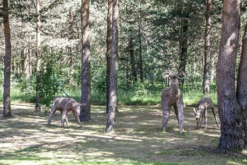 Agroturismo V?lodzes