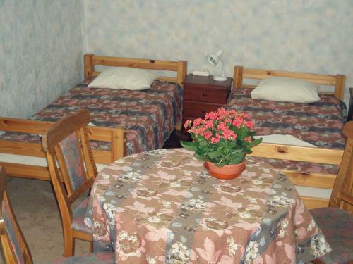 Hostal Meteorits