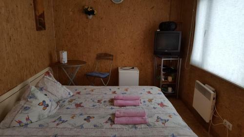 Hostal Saulrieti