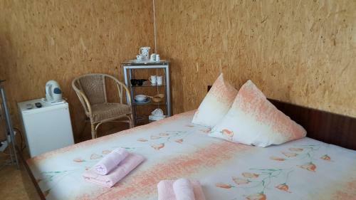 Hostal Saulrieti