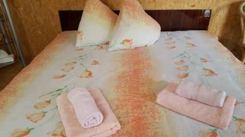 Hostal Saulrieti