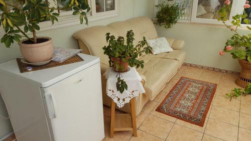 Hostal Saulrieti