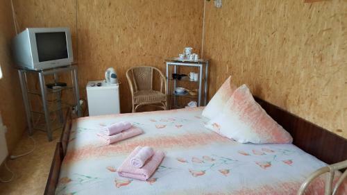 Hostal Saulrieti
