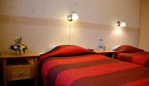 Hotel Demians