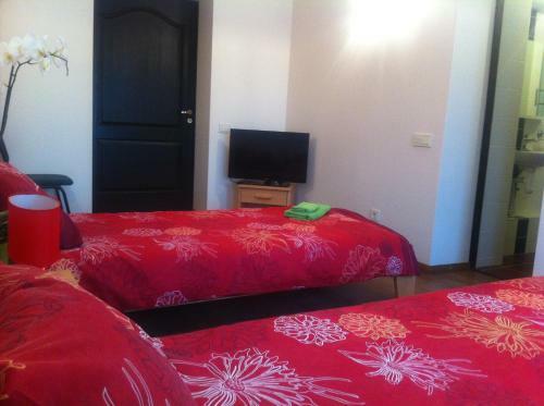 Hostal Guest House - Cafe Liepas