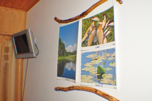 Hostal Guesthouse Leiputrija