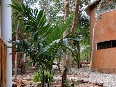 Eco-hotel Nueva Altia