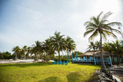 Costa De Cocos