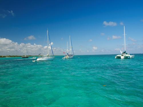Costa De Cocos