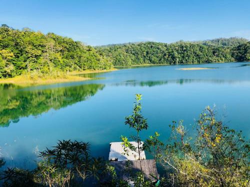 Ecolodge Resort Naha - Selva Lacandona