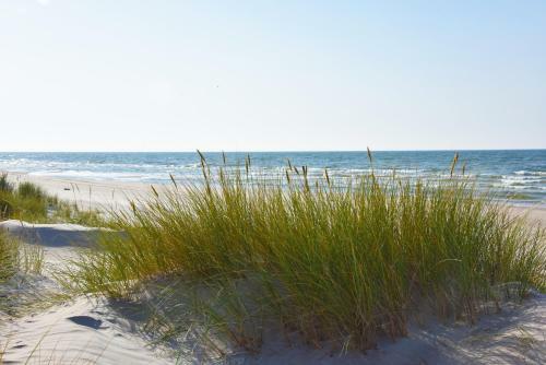 D&a Baltic Beach Villa
